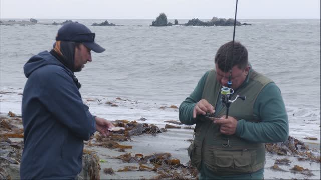 Сахалин кормит гребешком. На берегу моря с Борисом Рябченковым. смотреть онлайн