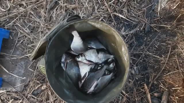 Рыбалка осенью на фидер.Канал СУГРЭС. смотреть онлайн