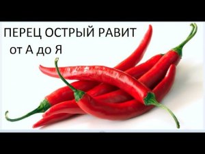 Перец острый от А до Я
