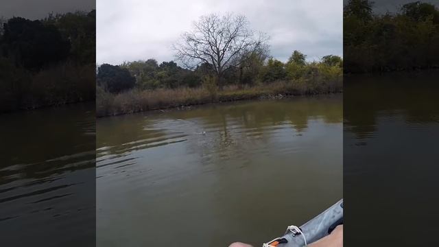 Bass fishing Cedar Park on the new Pelican Catch 100! смотреть онлайн