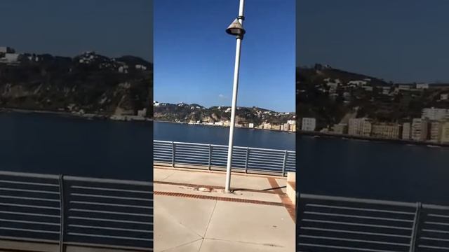 Labrador femmine per accoppiamento смотреть онлайн