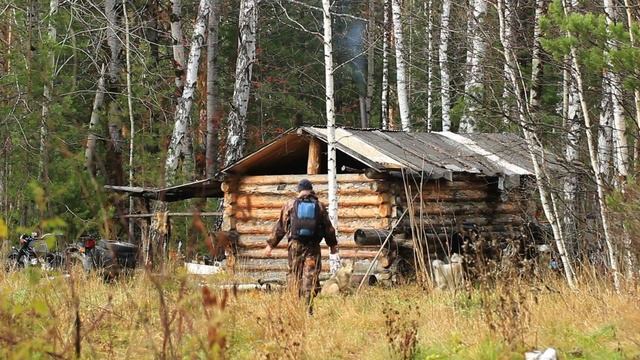 Волк незаметно подкрался к девушке! Вы не поверите, что произошло дальше! смотреть онлайн