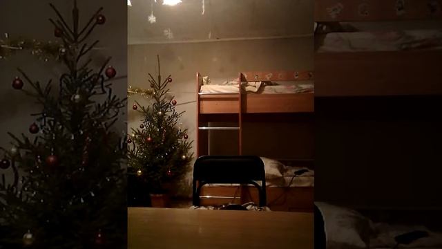 😂😂красный медведь и бабушка Рекс😂😂 смотреть онлайн