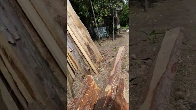 Любить смотреть онлайн