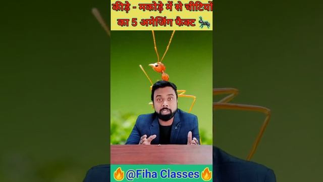 ants। Amazing facts । #shorts #ytshorts #viralshorts #ants #fihaclasses смотреть онлайн