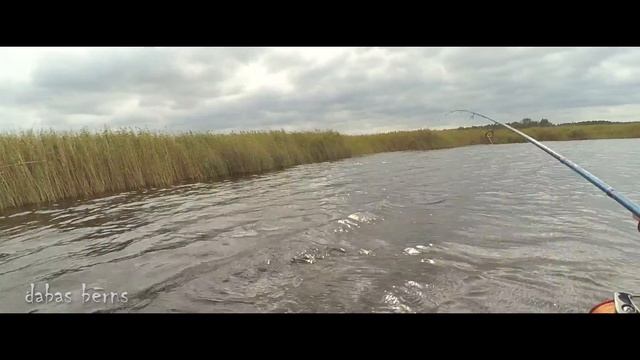 Dabas Bērns - Kaņieris , līdaka 2,5kg.(щука 2.5кг) 2016 смотреть онлайн