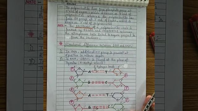 MOLECULAR BASIS OF INHERITANCE -PART 1 (CBSE CLASS 12) смотреть онлайн