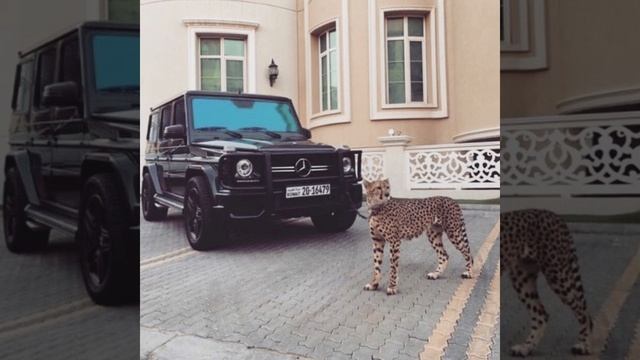 Kay Figo - Kanyelele (Slowed-Bass Boosted) смотреть онлайн