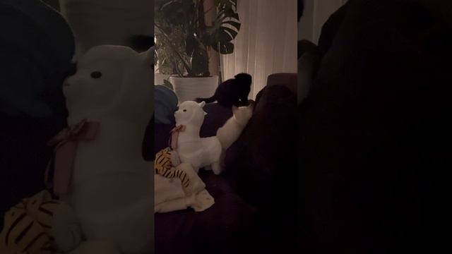 Битва Тьмы и Света смотреть онлайн