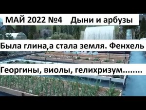 Май 2022 №4  Была глина, а стала земля. Высаживаем рассаду.