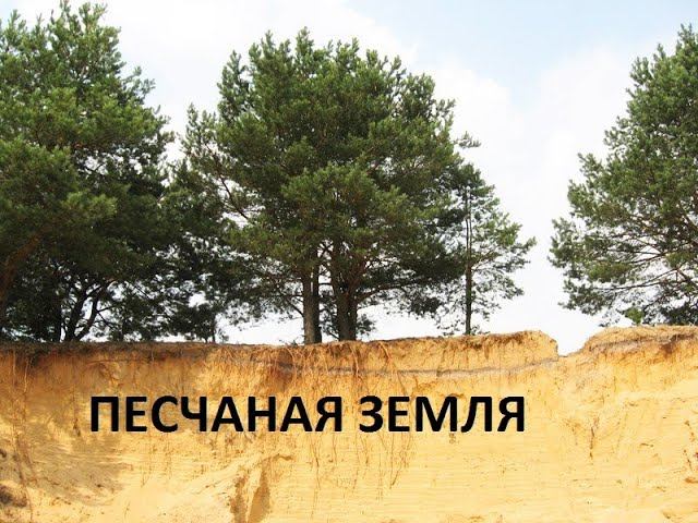 Песчаная земля-как улучшить. смотреть онлайн