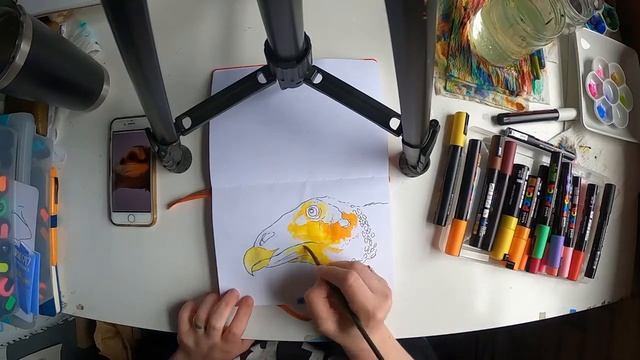 LizLand: Painting with POSCA Markers смотреть онлайн