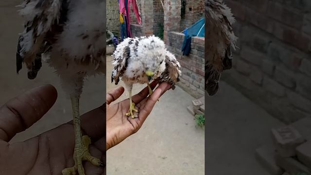 May 20, 2024 смотреть онлайн