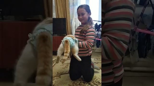 Девчонки и мальчишки Танцы в труселях смотреть онлайн