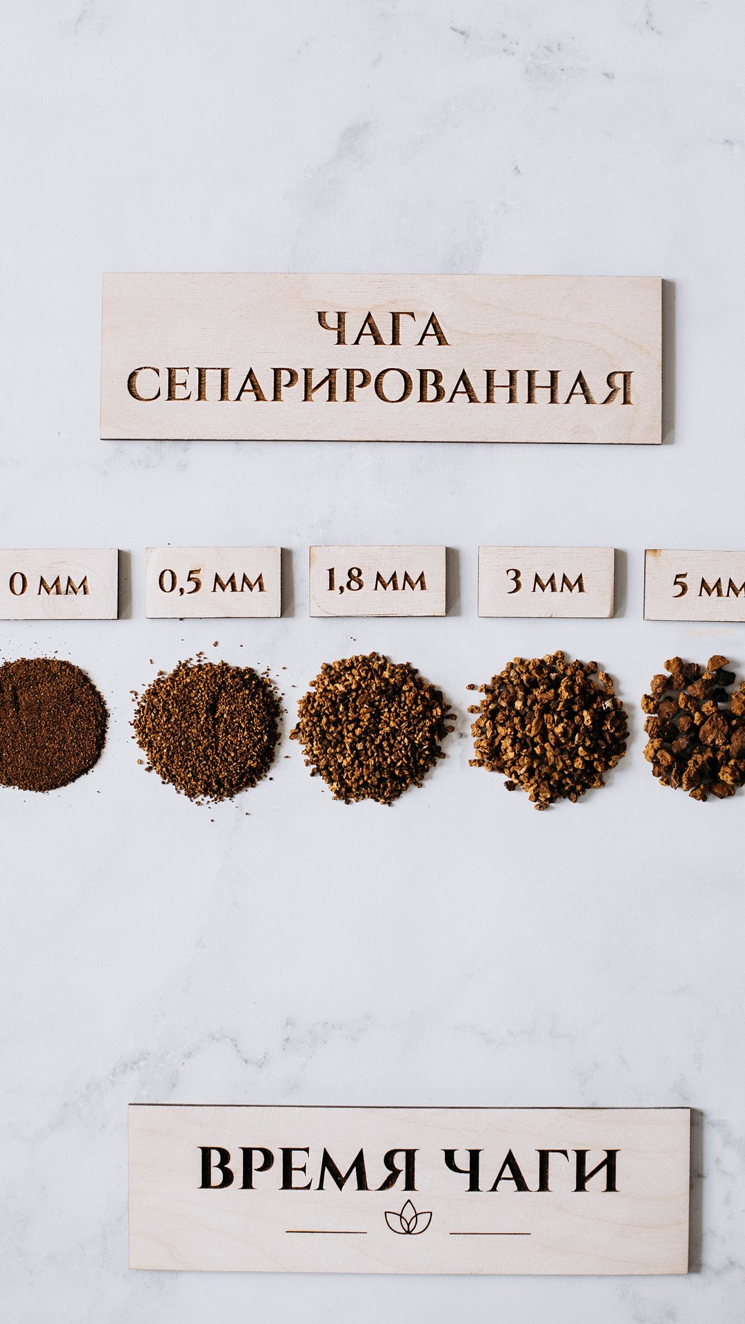 Чага - обзор всех видов | ВРЕМЯ ЧАГИ