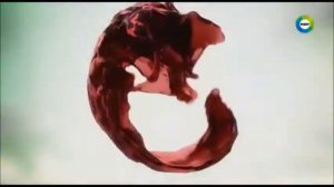 Реклама Сады Придонья Эксклюзив - Август 2018