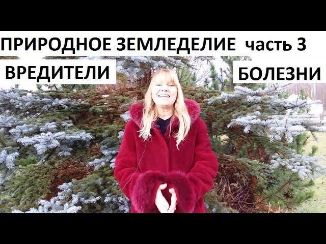Природное земледелие часть №3 вредители и болезни. смотреть онлайн