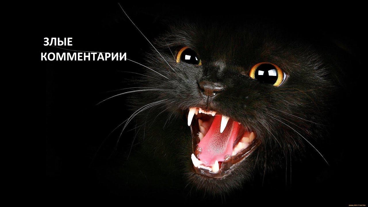 Злые комментарии. смотреть онлайн