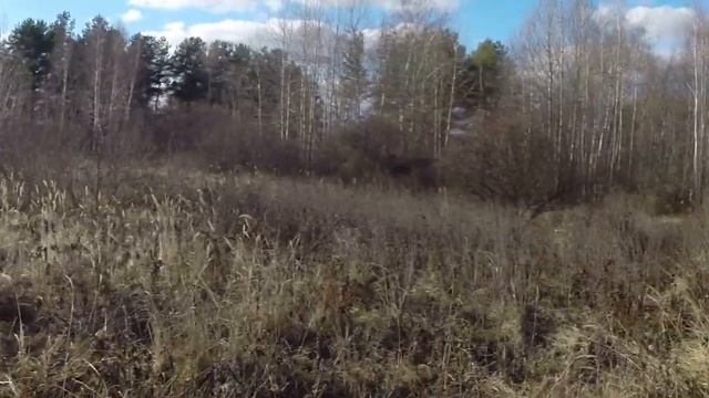 GOPR1463 Trim смотреть онлайн