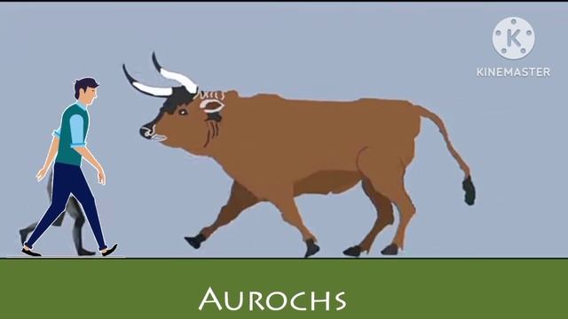 The size Cenozoic Era Size Comparison in 2024 @AnimalsComparison @ParaceraOfficial338 смотреть онлайн
