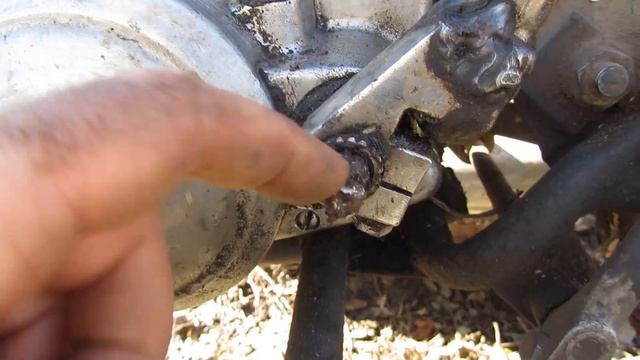 Харьков, Харьковская область, коты.  кошки. собаки. Kharkiv. Cats. Dogs. Kharkov. мотоцикл Минск.