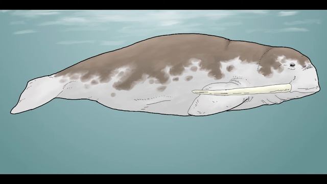 Tarih Öncesinde Yaşamış 12 İlginç Canlı