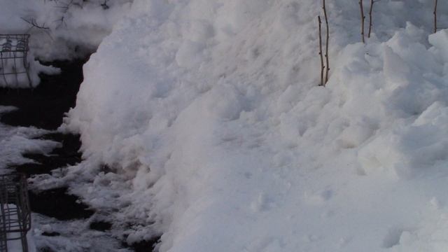MVI_1772 смотреть онлайн