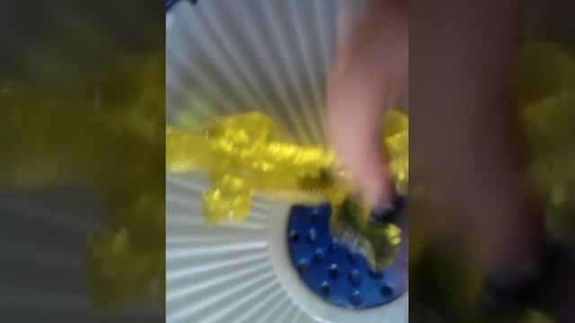 Открытие лизуна Ящерица. смотреть онлайн