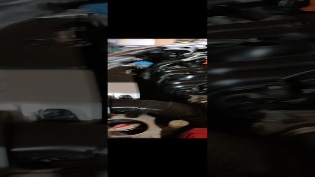 1000138170.mp4 смотреть онлайн