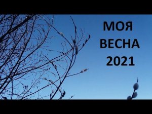Март 2021 . Моя весна.