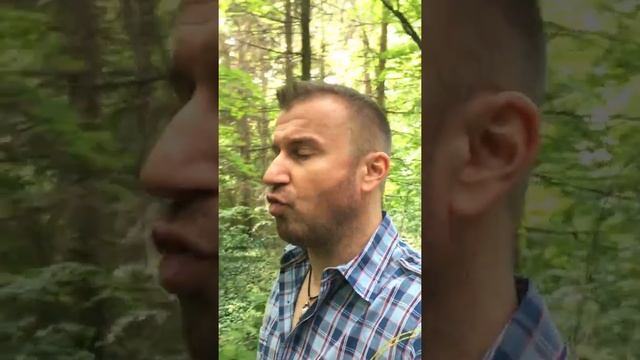 ИСТОРИЯ от Златната ТРЕСКА + (Никога НЕ Се Предавай ИЛИ Продължавай Докато Успееш!) - Иво Игнатов смотреть онлайн