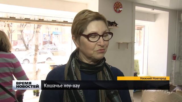 Кошачье ноу хау смотреть онлайн