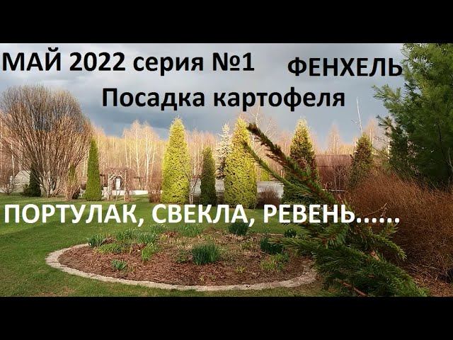 Май 2022 серия №1 Посадка картофеля фенхеля, свеклы..... смотреть онлайн