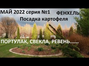 Май 2022 серия №1 Посадка картофеля фенхеля, свеклы.....