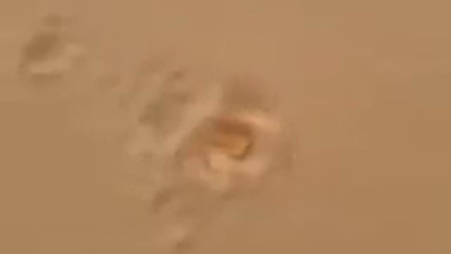 Следы невиданных зверей смотреть онлайн