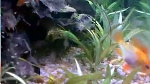 04042012052.mp4 смотреть онлайн