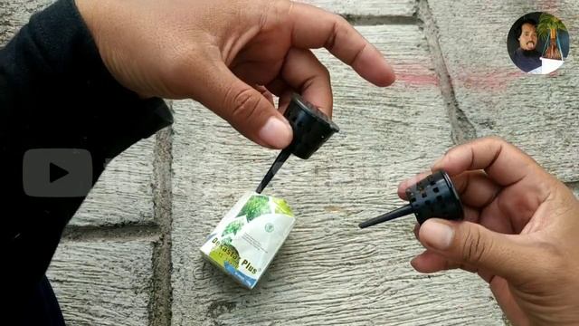 CARA MENGGUNAKAN PUPUK DEKASTAR YANG BENAR AGAR HEMAT DAN HASIL MAKSIMAL PADA BONSAI KELAPA смотреть онлайн