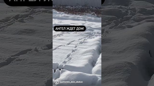 Сказки из жизни. Приют. Строим вольеры. Срочная помощь! 89135440512 смотреть онлайн