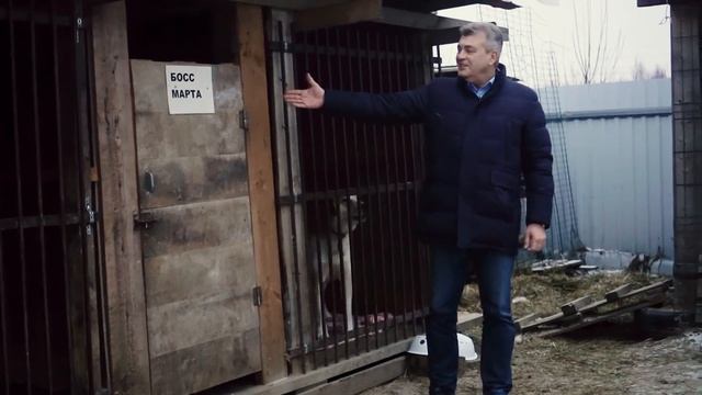 Акция "Крупа для друга" смотреть онлайн