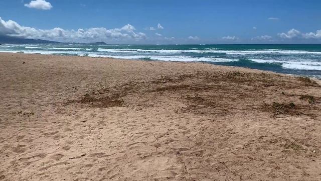 Ula‘Ula Beach, Hi смотреть онлайн