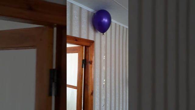 Живой шар смотреть онлайн