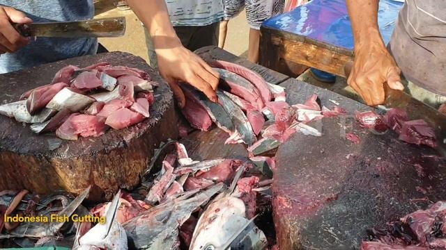 Skill Menakjubkan Om Rappi dan Abang Wandi Potong Ikan Cakalang Segar | Indonesia Fish Cutting смотреть онлайн