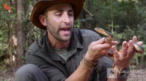 Гадюка  Us Уж КОЁТ ПИТЕРСОН НА РУССКОМ