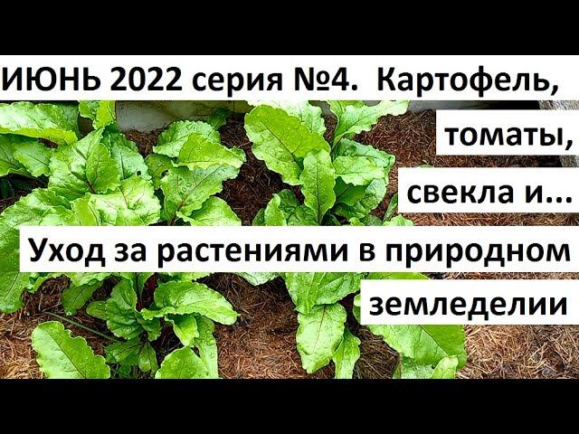 Июнь 2022. серия №4. Уход за огородом в природном земледелии. смотреть онлайн