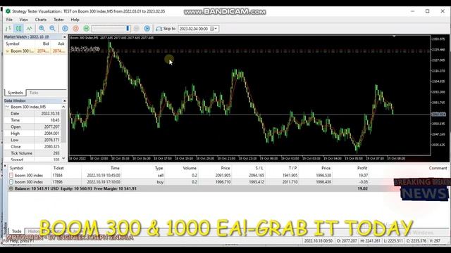 BOOM 300 & 1000 EA FOR SALE! смотреть онлайн