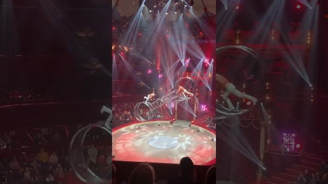 Cirque d’hiver Bouglione - Paris 2020 #shorts #short #PreciousMoments #TravelShort #TravelShorts смотреть онлайн