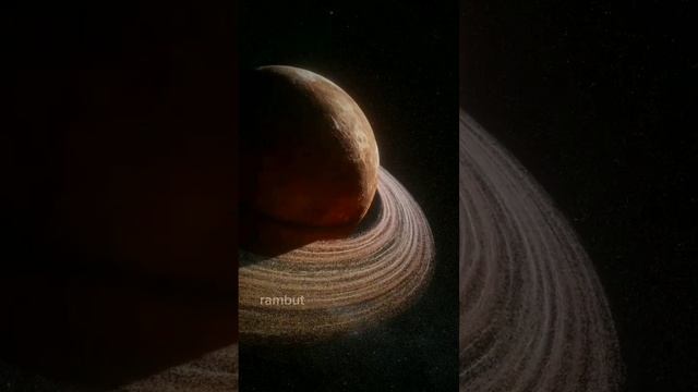 FAKTA TENTANG WARNA ORANG UTAN SAAT LAHIR смотреть онлайн