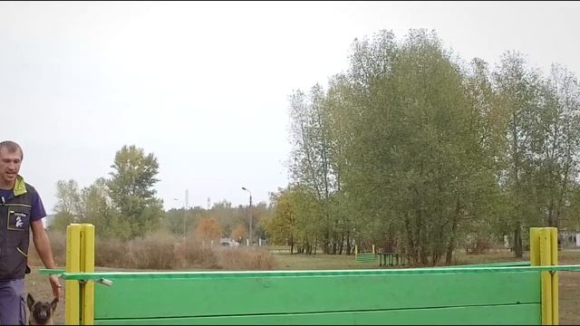 Odin Mi-Ji (Obedience 16 months) смотреть онлайн