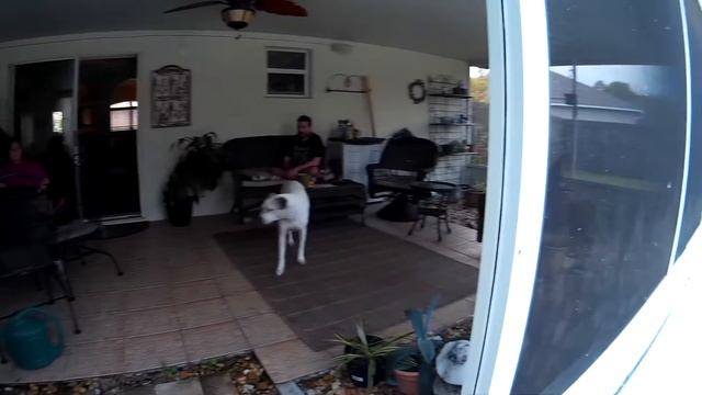 Quadcopter 2D gimbal on 12$ camera c-mount смотреть онлайн