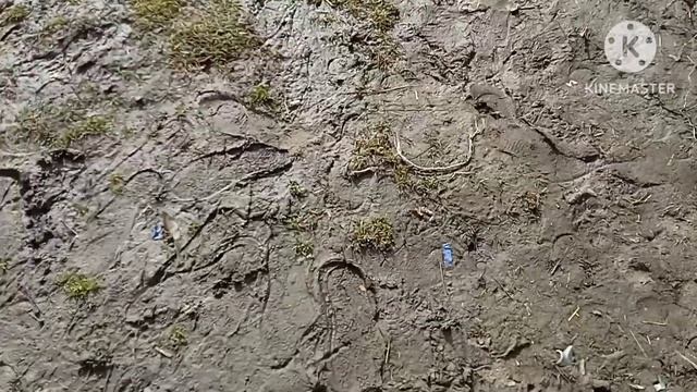 Життя в селі як воно є. Велика стірка.🐓🐓🐓🇺🇦🇺🇦🇺🇦🇺🇦🇺🇦 смотреть онлайн